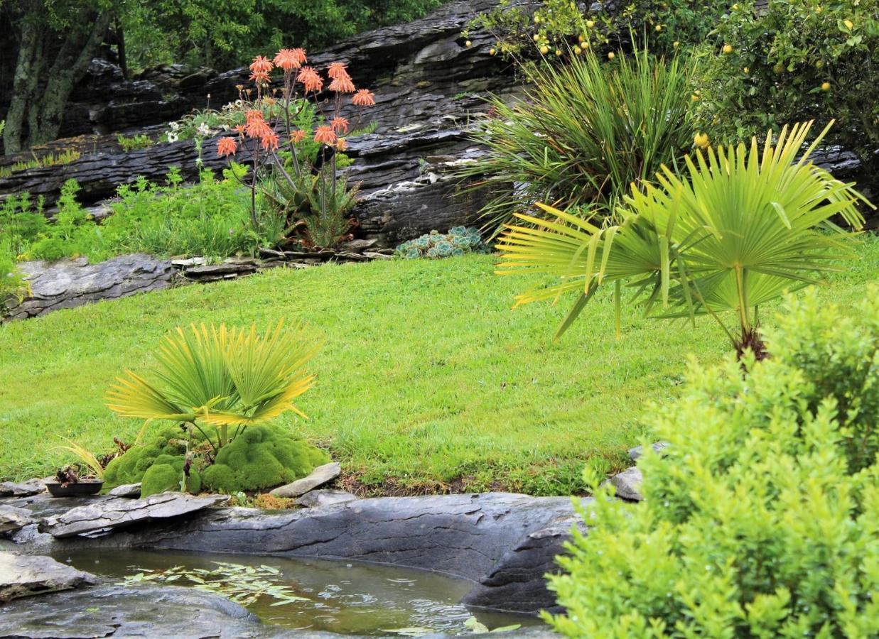 Labyrinth Gardens Guest House Takaka Exterior foto
